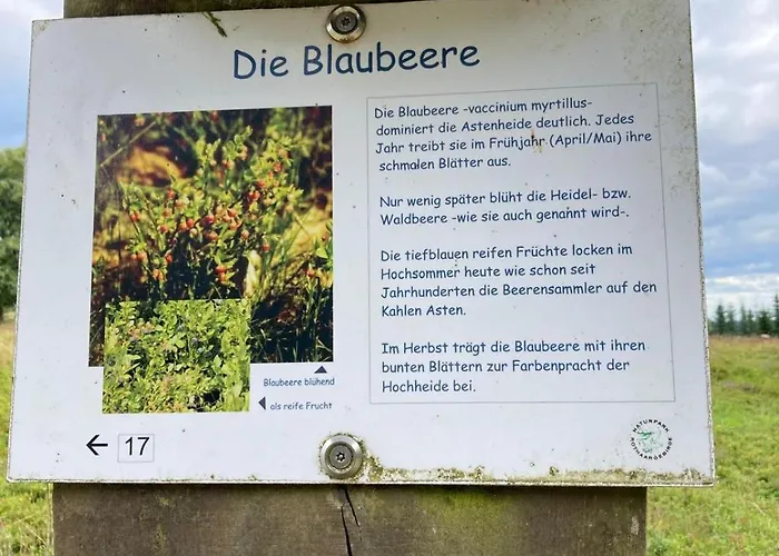 Francis Am Mountainbike-park Apartment